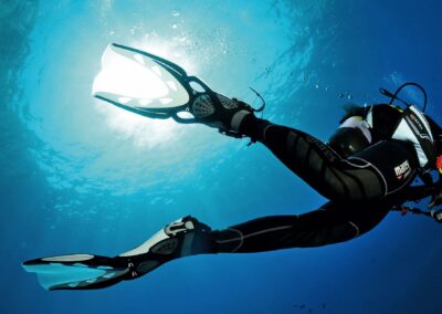 Dive Image_13