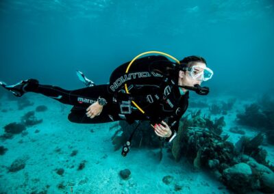 Dive Image_3