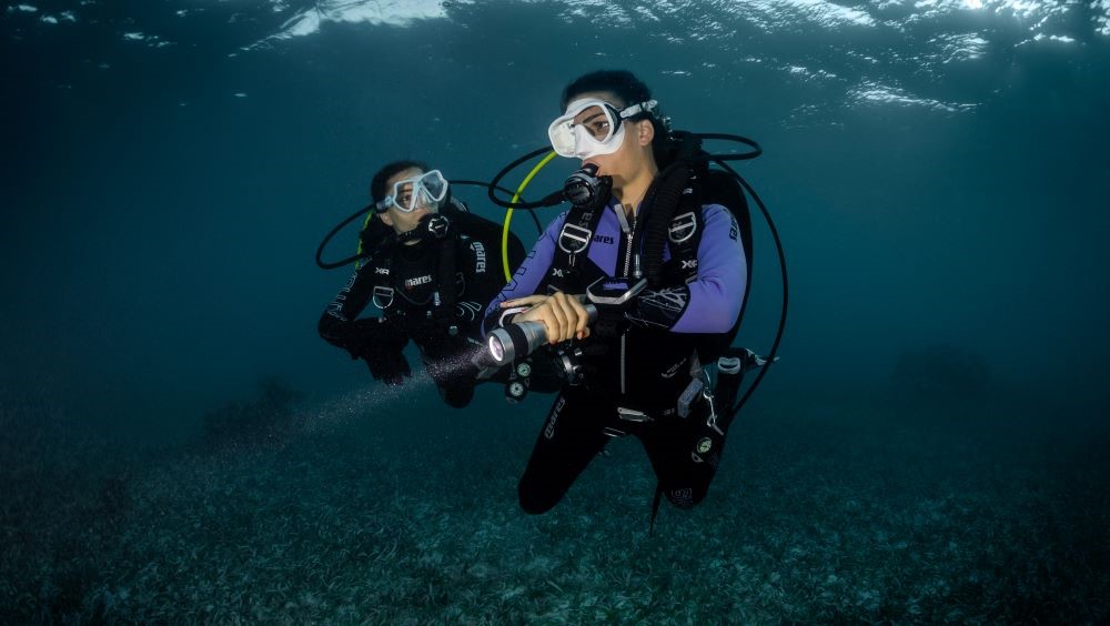 Night dive