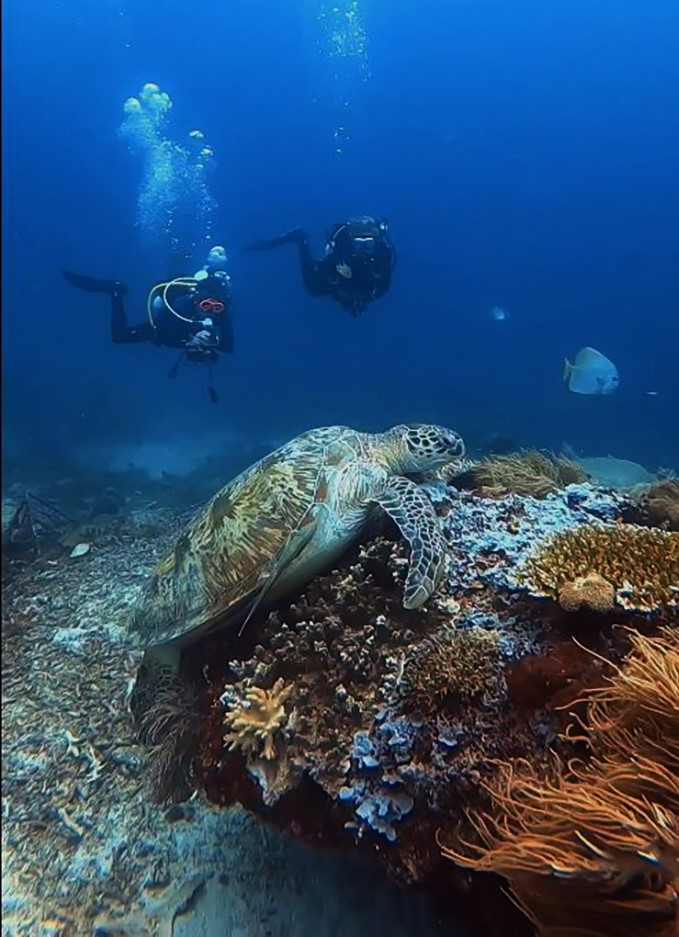 Turtle with people