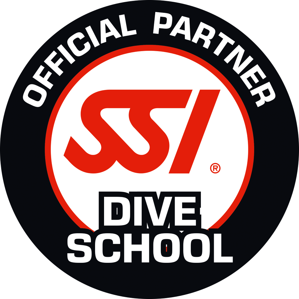 Dive School